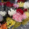 Miscelánea Cedritos. Floristería. Flores: rosas, astromelias, pompones, otros. Matas: Violeta los Alpes, Begonia, otras.