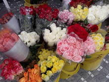 Miscelánea Cedritos. Floristería. Flores: rosas, astromelias, pompones, otros. Matas: Violeta los Alpes, Begonia, otras.