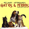 Pet shop - veterinaria Gatos y Perros. Barrio Lisboa Cedritos Bogotá. Consulta, Vacunación, Medicamentos, Concentrados, Peluquería, Baño, Boutique.  Veterinarios.